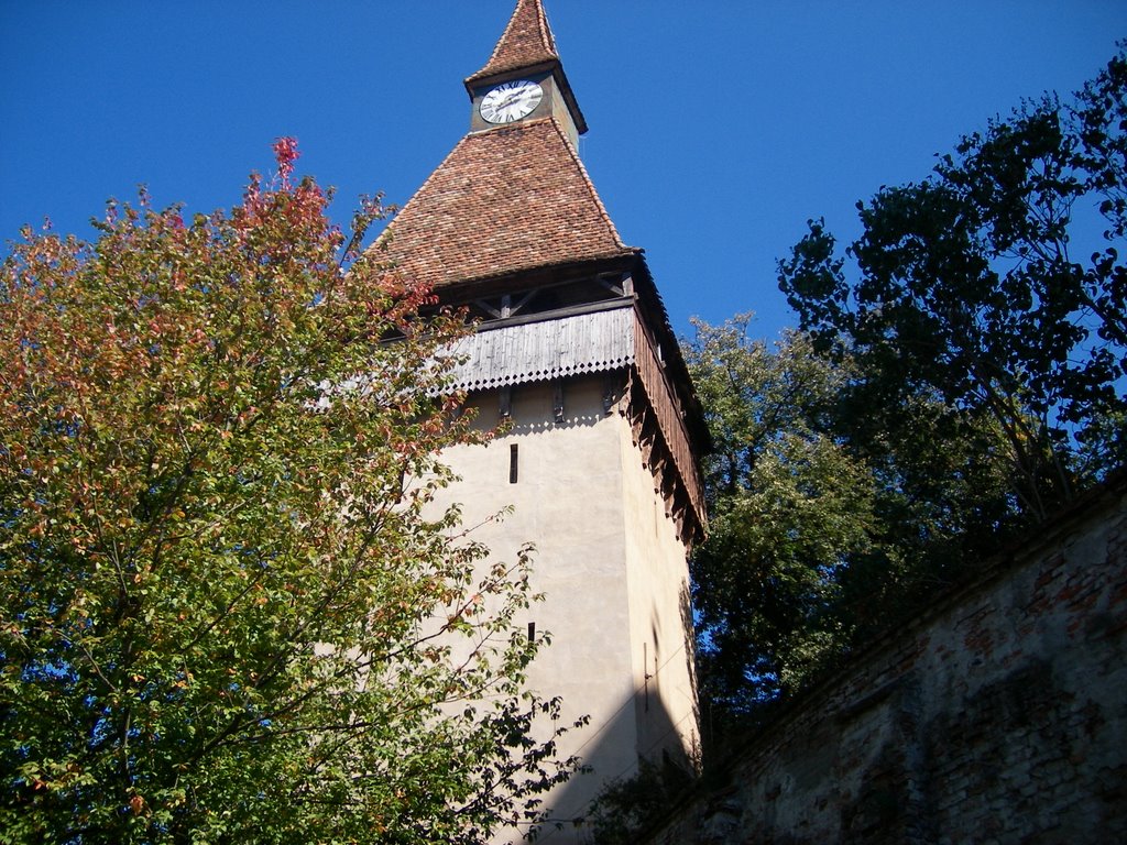 Biertan - Biserica saseasca by dolfy-Adolf Schichel