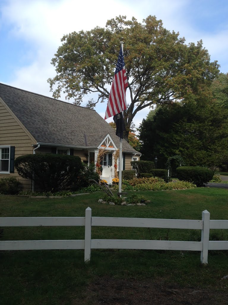 Flag House by rogerking