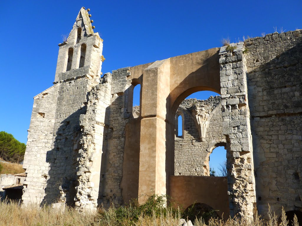 Monasterio de Santa María de la Armedilla. Cogeces del Montes by libanez