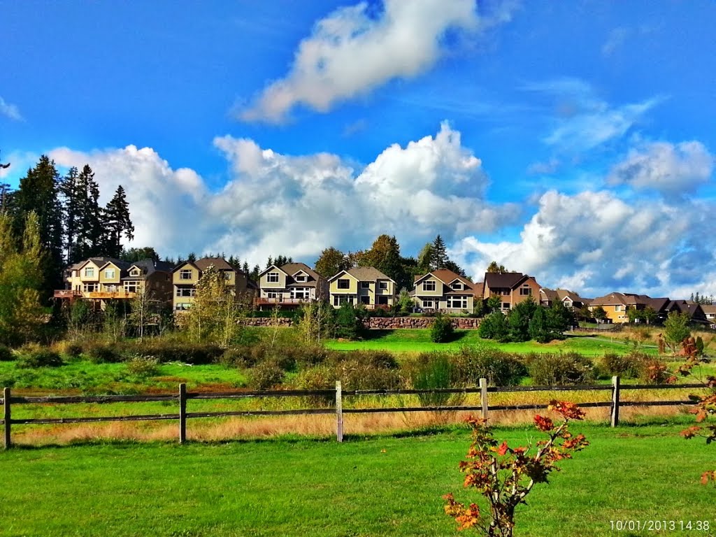 Illahee Trail and Pond, Sammamish, WA by Lin@Bates