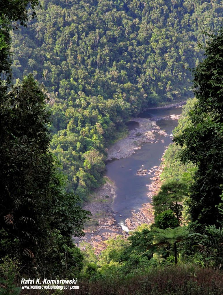 North Johnstone River, Queensland, Australia by Rafal K. Komierowski