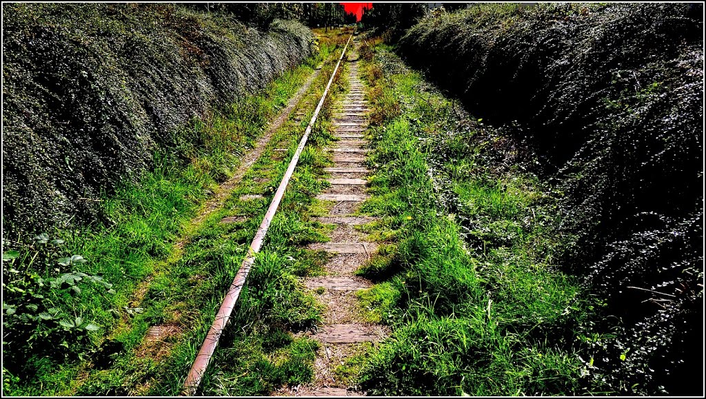 Abandoned Interurban tram line from the 1890s in Kerrisdale - Sep 2013 by ThosGee