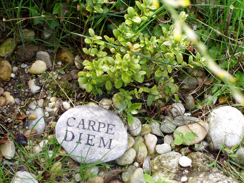 "Carpe Diem - nütze den Tag" by Ellen Haider