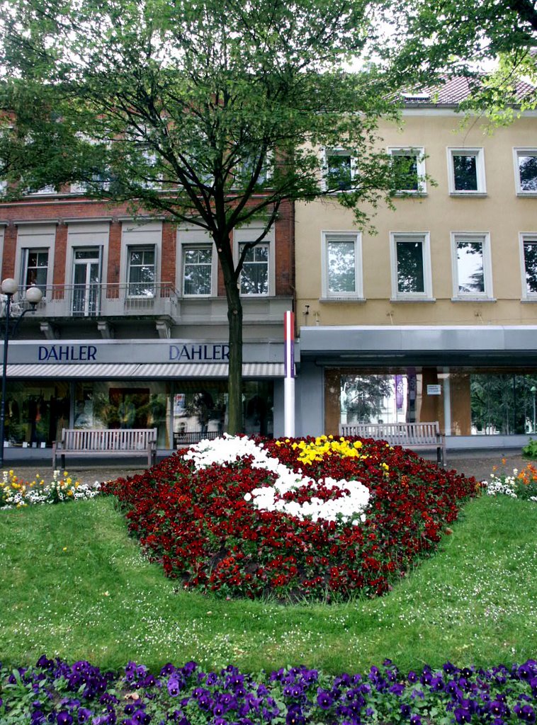 Wir drücken es mit Blumen aus / Lutherplatz by Peter W. Ehl