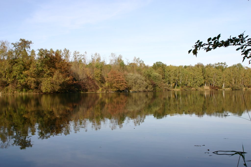 In den Rheinauen by Oberkirch