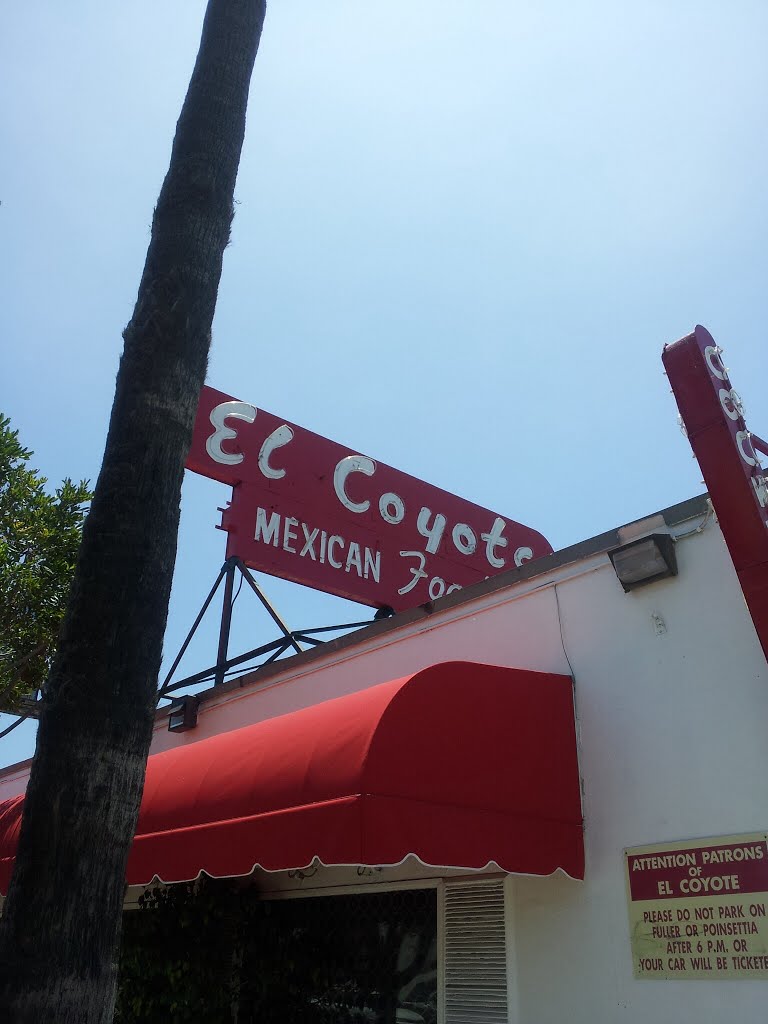 El Coyote Mexican Cafe by sloas1