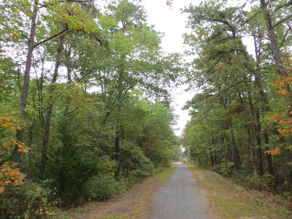 Barnegat Branch Trail by Adam Elmquist