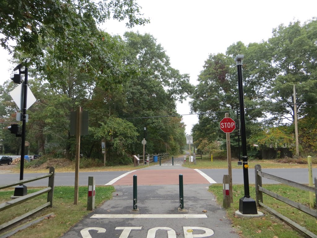 Barnegat Branch Trail by Adam Elmquist