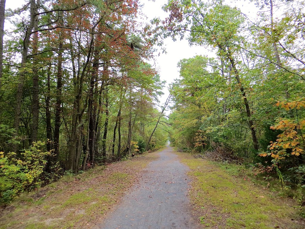 Barnegat Branch Trail by Adam Elmquist