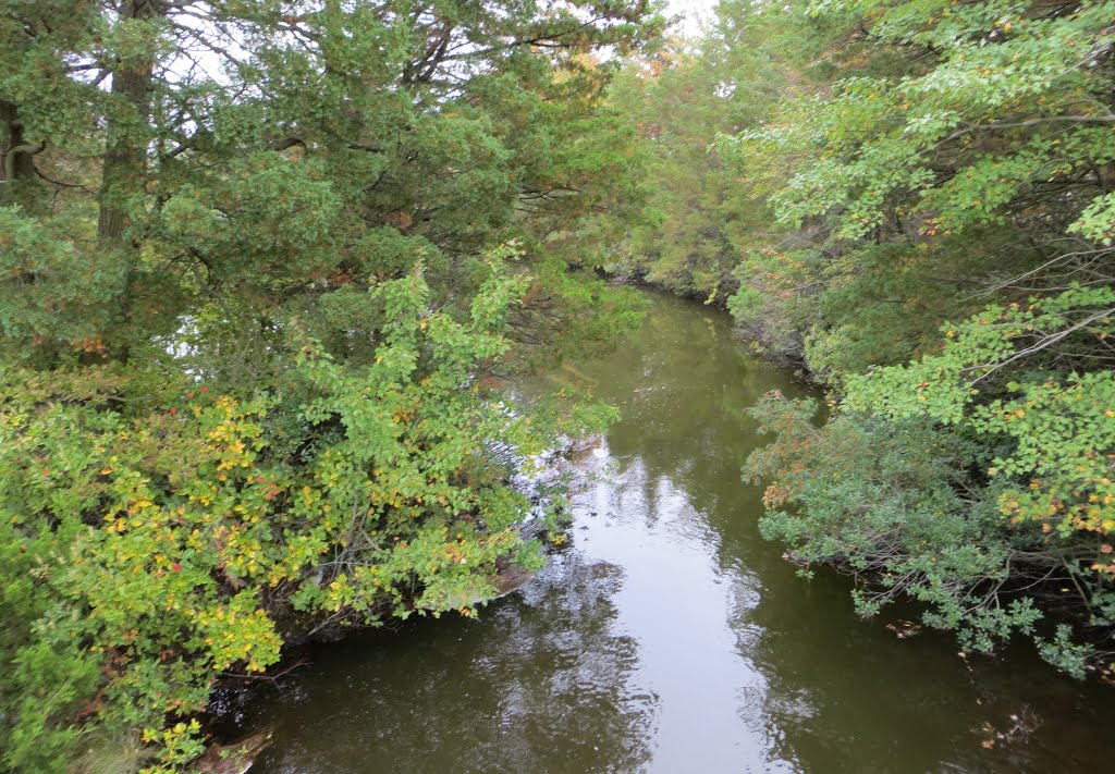 Middle Branch Forked River by Adam Elmquist