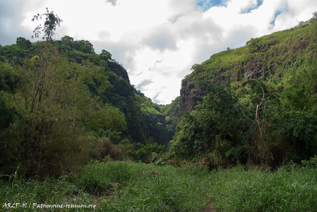 Ravine Bernica & Bassin Pigeon by Patrimoine-Réunion