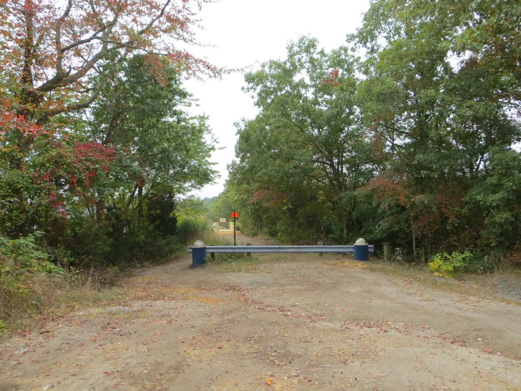 Barnegat Branch Trail by Adam Elmquist