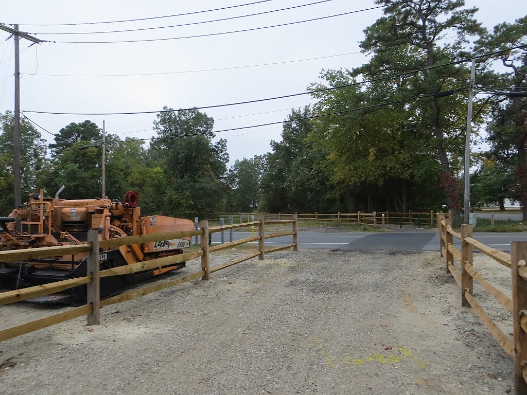 Barnegat Branch Trail by Adam Elmquist