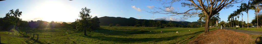 Sunset on a paddock in Daintree town by moosefly24