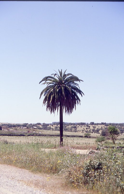 Solitario tesoro: el agua by pideporesaboca