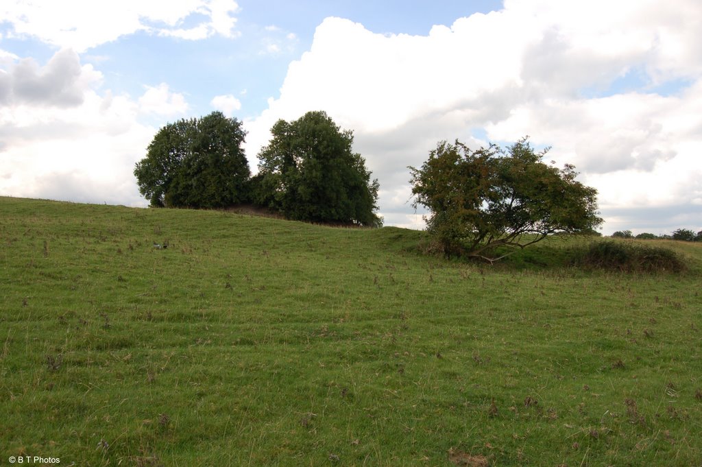 Rathwire Motte (Ancient Monument) by © B.T. Photos