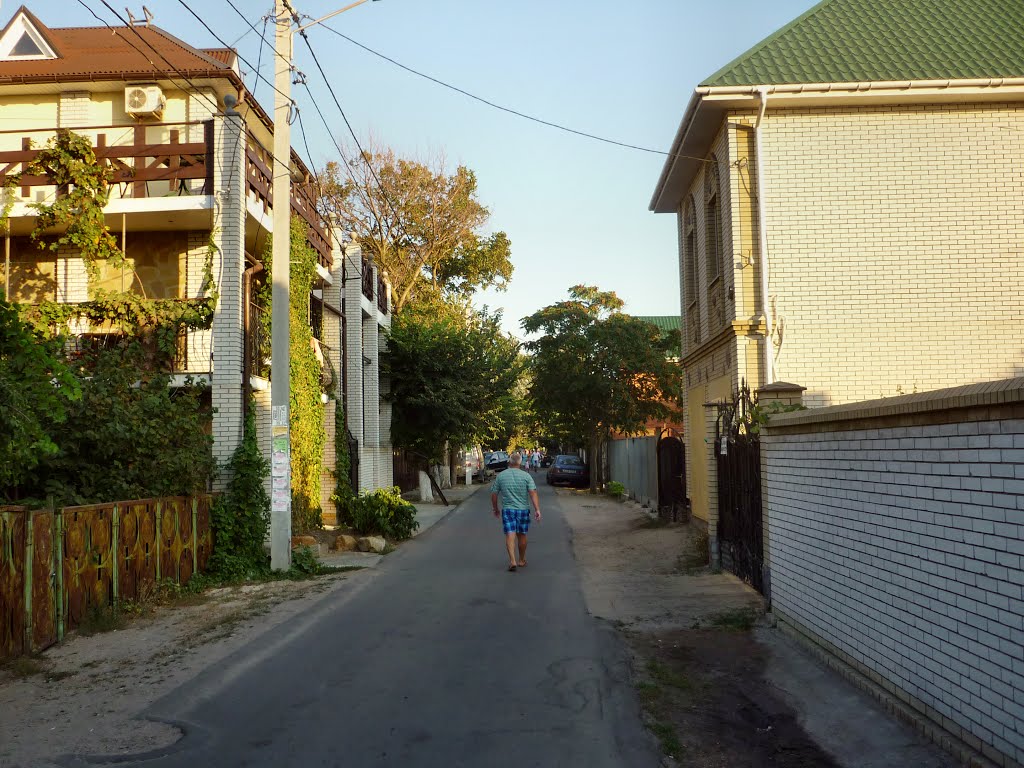 Chubarya St (Berdjansk) / 26.08.2013 by Iceman93 / NO VIEWS!!!