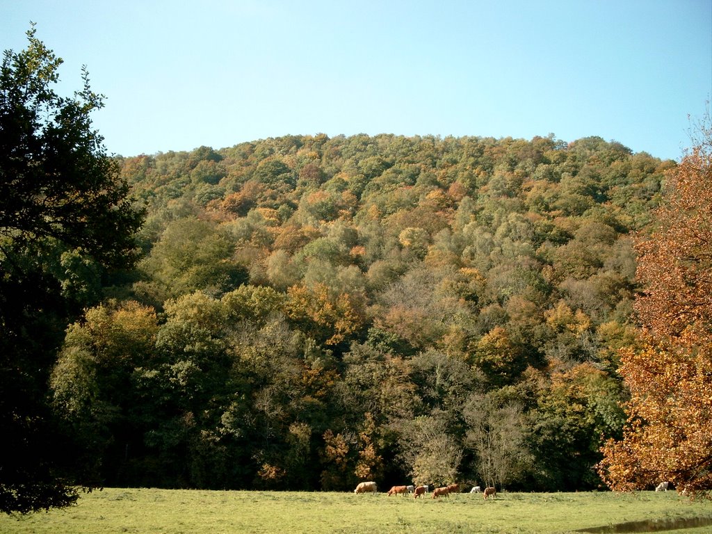 La Roche aux Faucons (Plainevaux) vue de Devant Rosière (Esneux) by Emailpassion