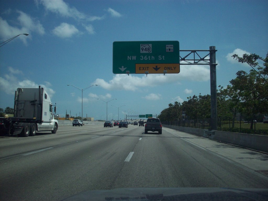 Palmetto Expressway South Way & N.W. 36th Street. by ACrossbow