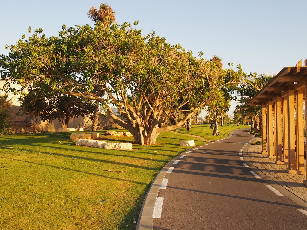 Bicycle trial in Tel Aviv by Laura