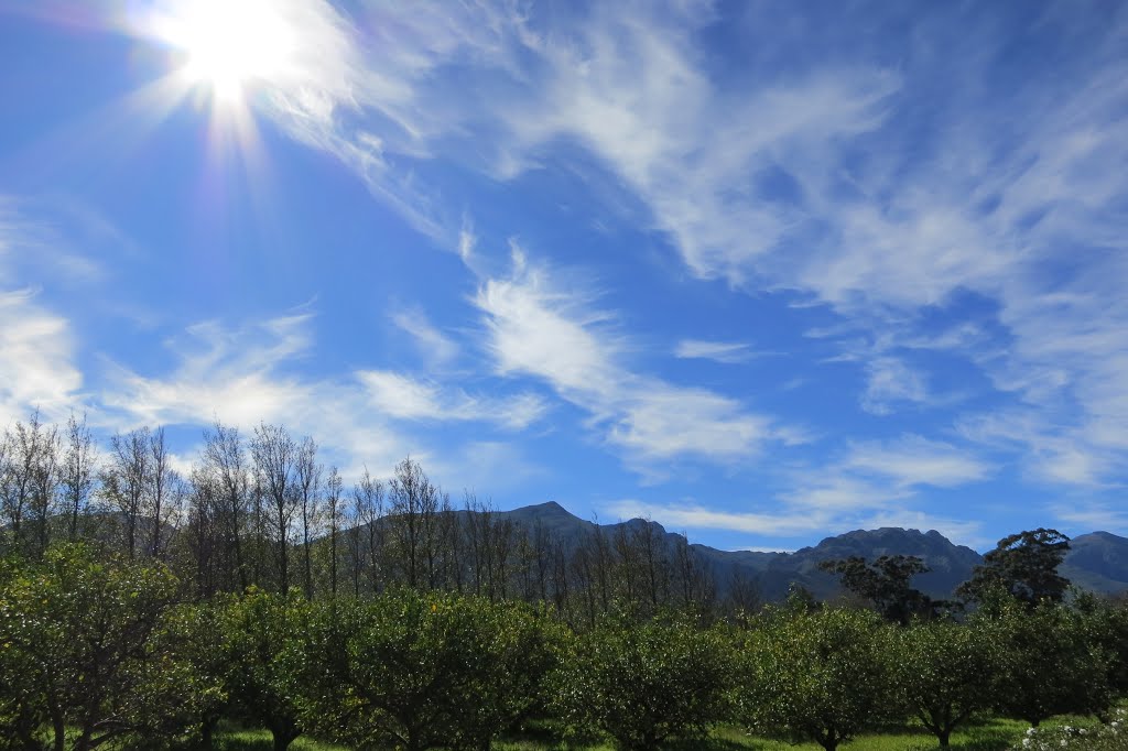 Winter Sky from Moreson Estate by Larry Thomas