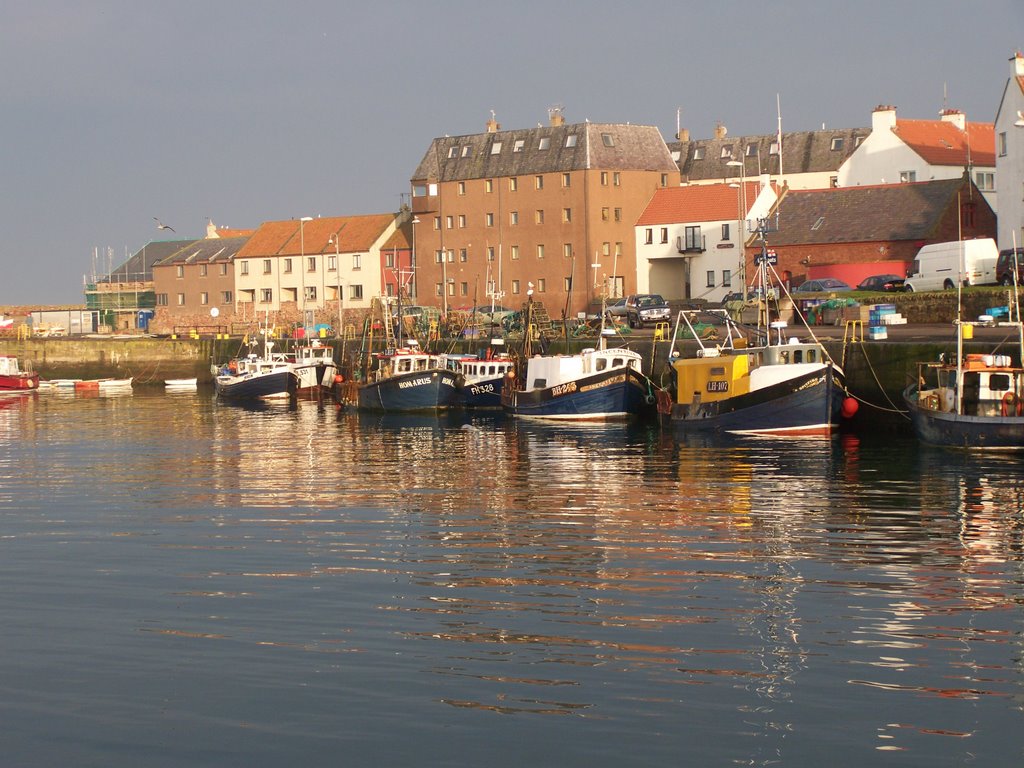 Dunbar harbour by Mike73H