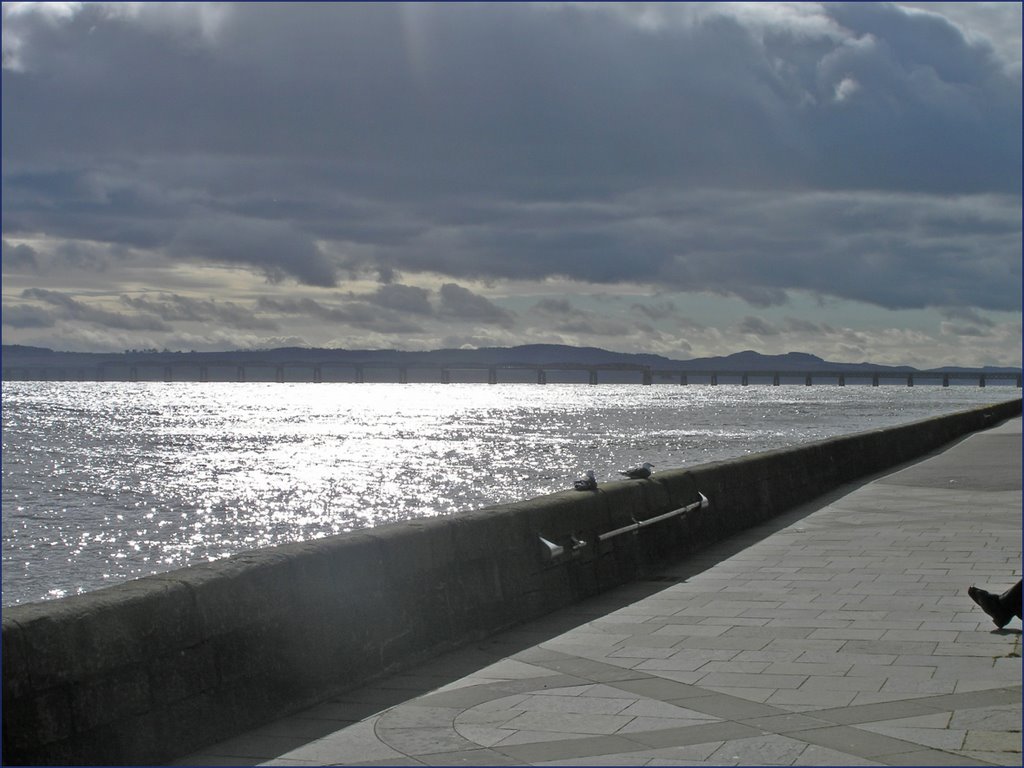 Quiet rest on the esplanade by billdee32