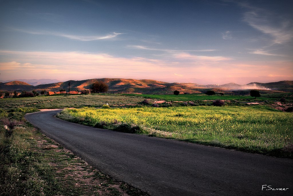 Tlemcen, Algeria by pdisparu