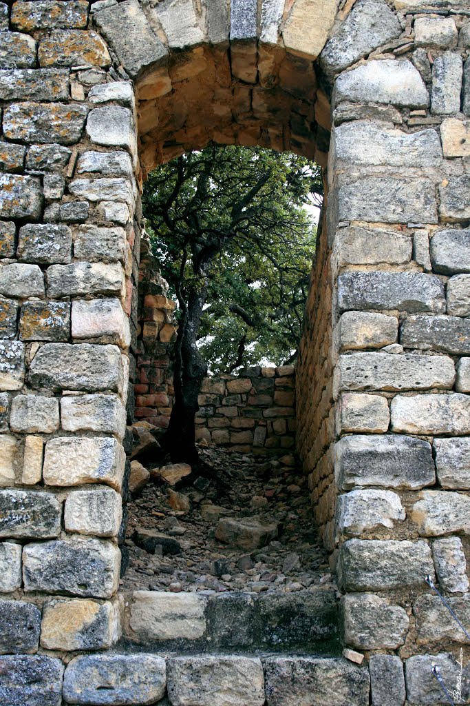 Château de Gicon... Chusclan by BORDEAU Alain.(NO VIEWS!)