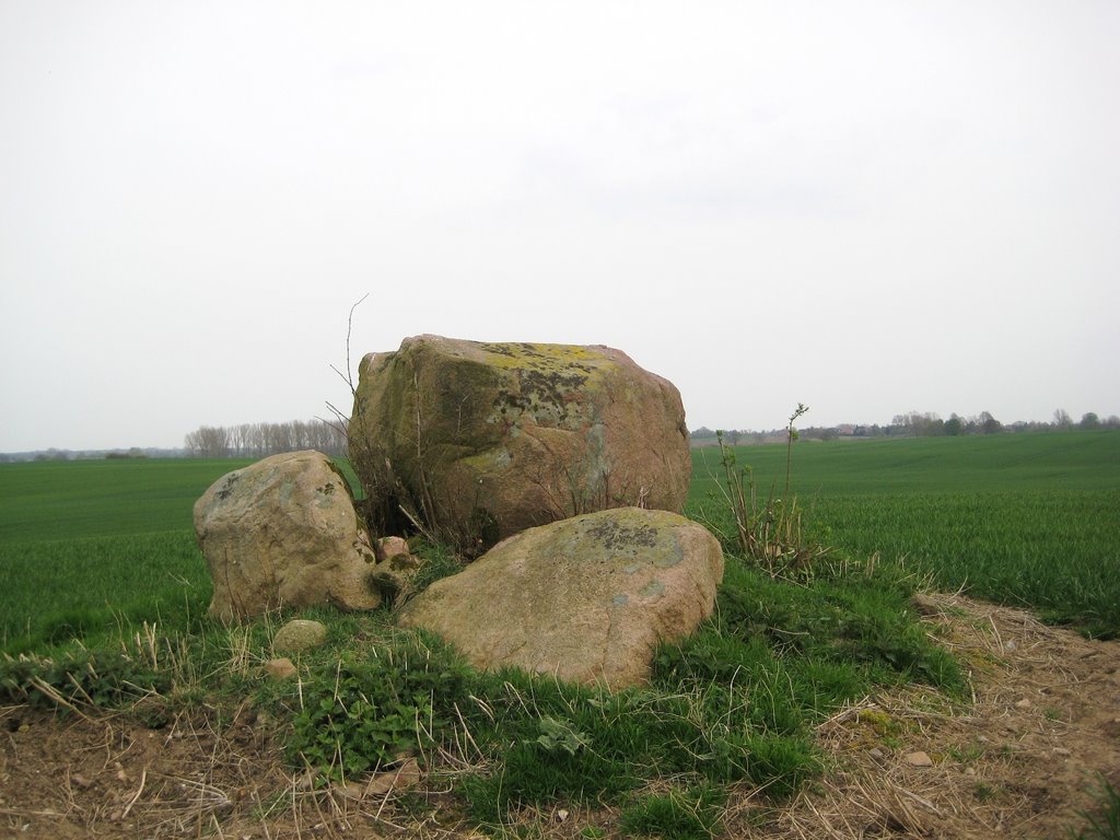 Megalithic Stones 700 m W Rothenstein by Raúlgh