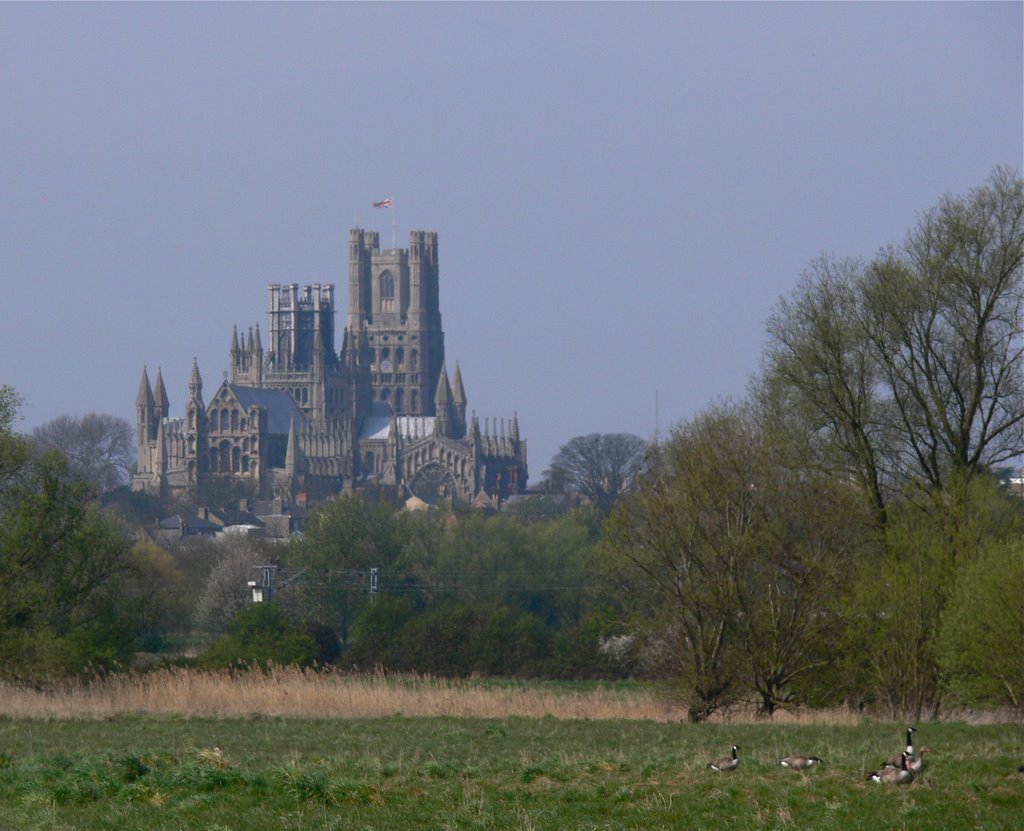 Ely Cathedral by tiggersmith