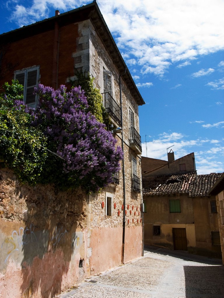 Calleja de Lerma by -peru-