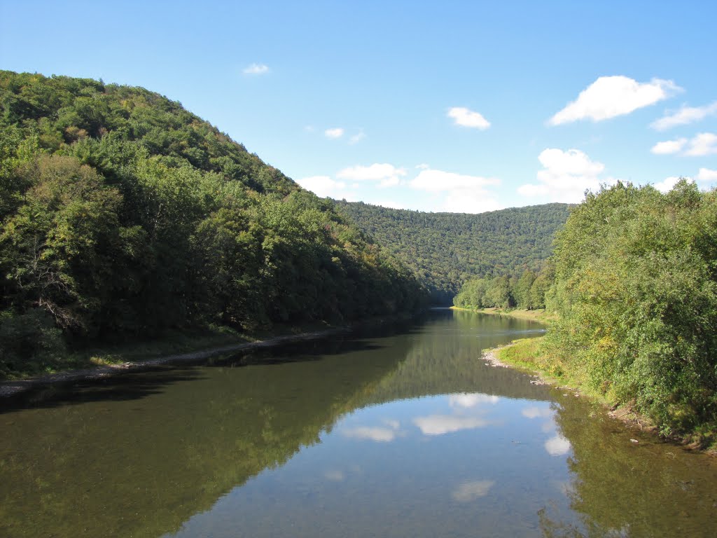 Pine Creek Upstream from Ramsey RR Bridge by Chris Sanfino