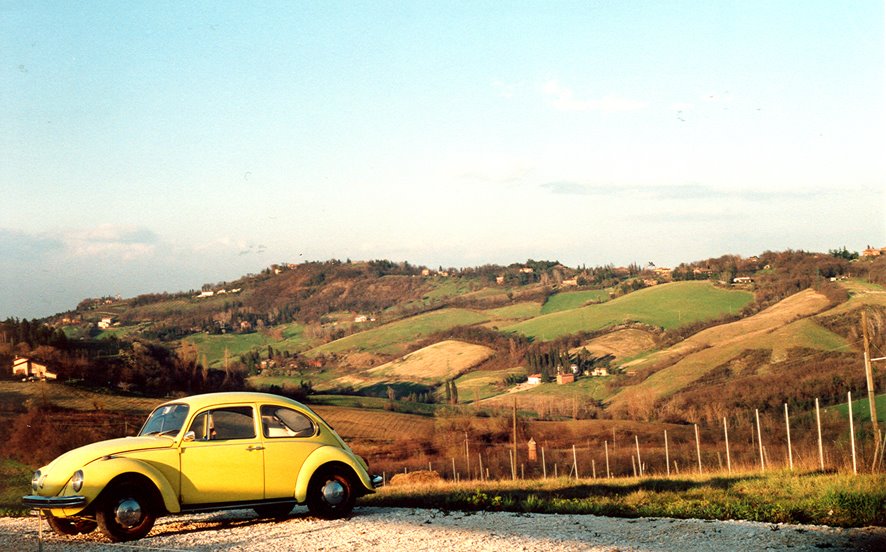 AE1-50_MAGGIOLINO SUI COLLI by Fabrizio Zucchini