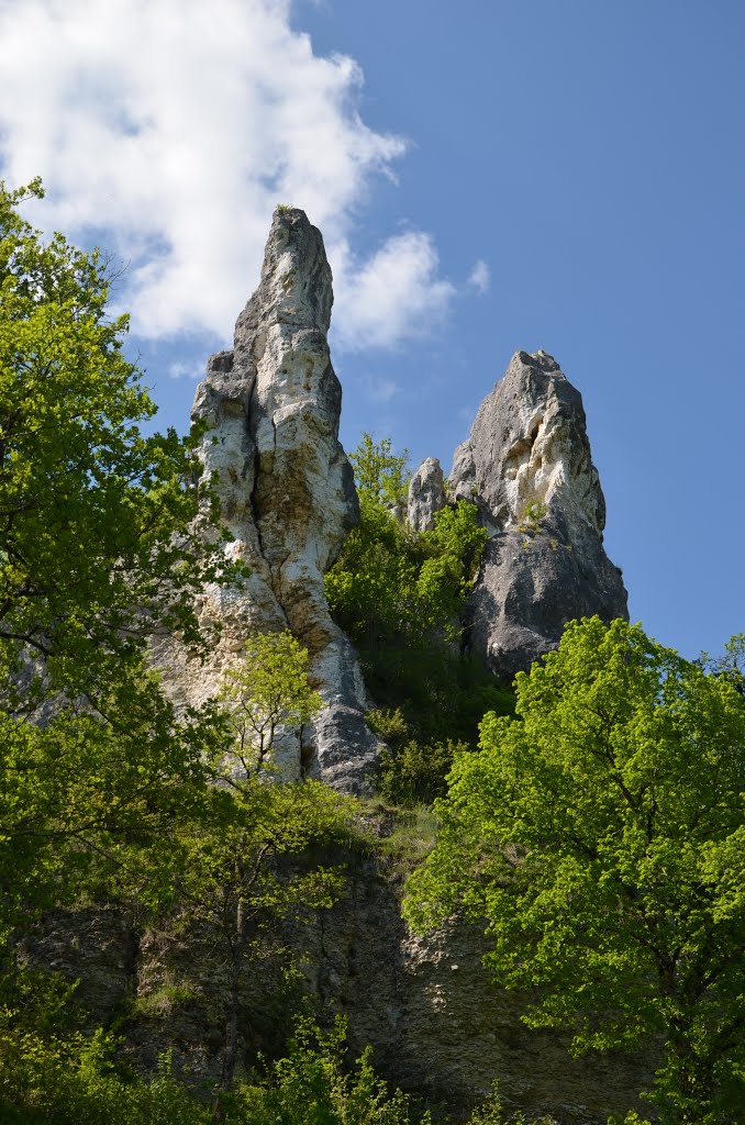 Roches de Basseville (Nièvre) by Naru Kenji