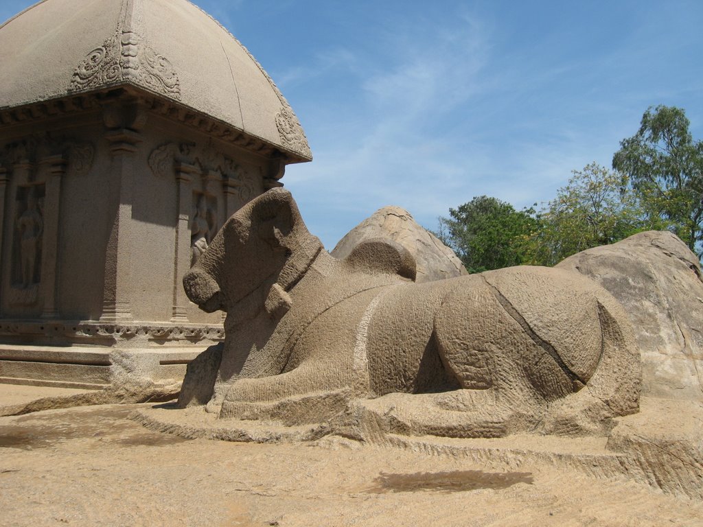 Nandi among the Five Rathas by Gabriele Giuseppini