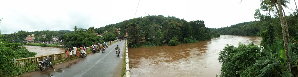 View from manimala bridge by leoCj