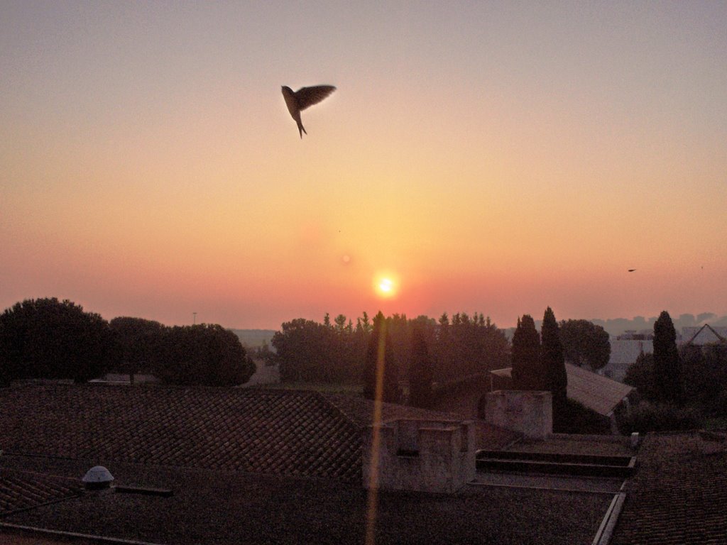 Alba di aprile dalla mia stanza allo Sheraton Golf di Parco de Medici a Roma by fernandomondego