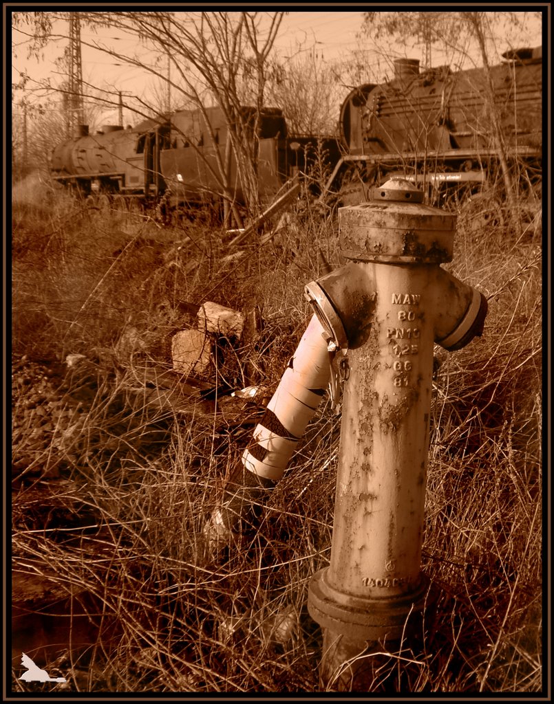 Historischer Hydrant by KKT