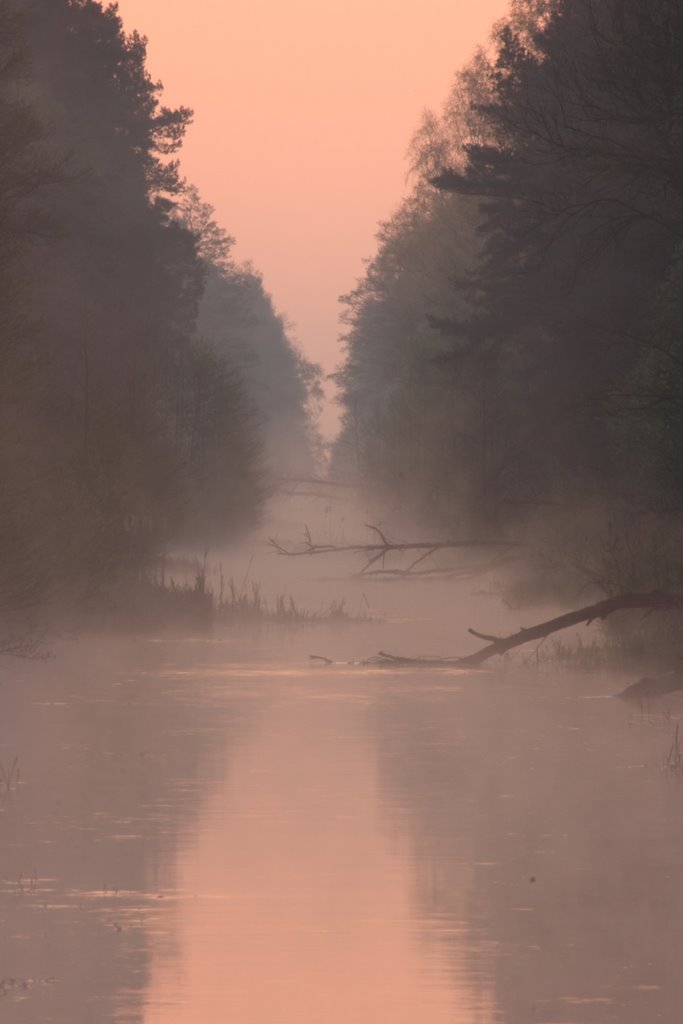 Kampinos National Park (Poland) by Mirek Druchowicz