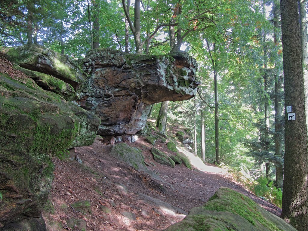 Hollerkanzel auf dem Felsenpfad im Kirkeler Wald HDR by Katweasle