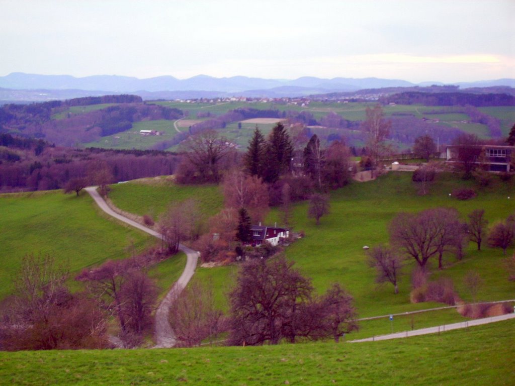 Hinterbuchenegg, Blick von Buchenegg by saschafuchs