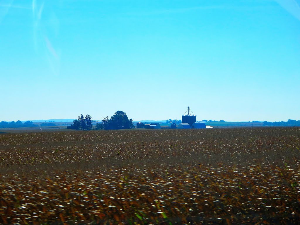 Farmland Near Cuba City by Corey Coyle