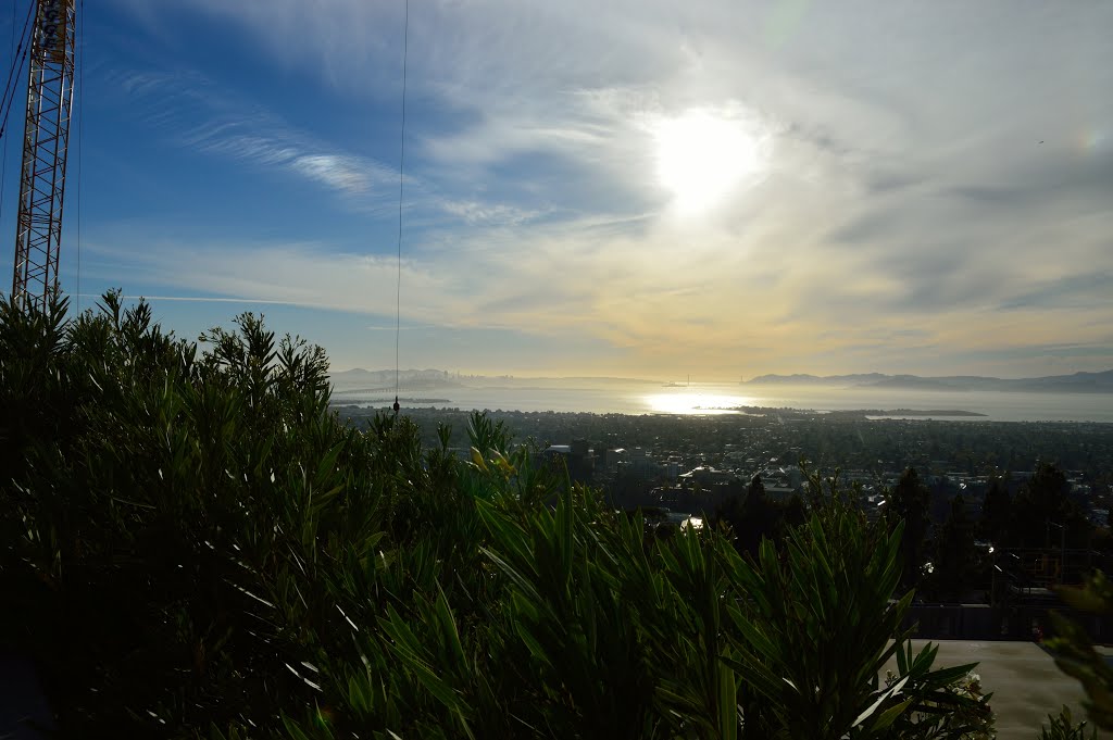 View over San Francisco and Golden Gate from LBNL by Artur Braun