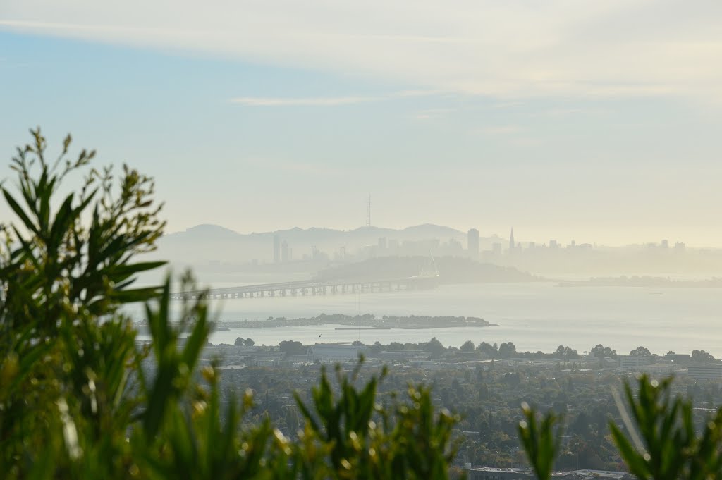 View over San Francisco and Golden Gate from LBNL by Artur Braun