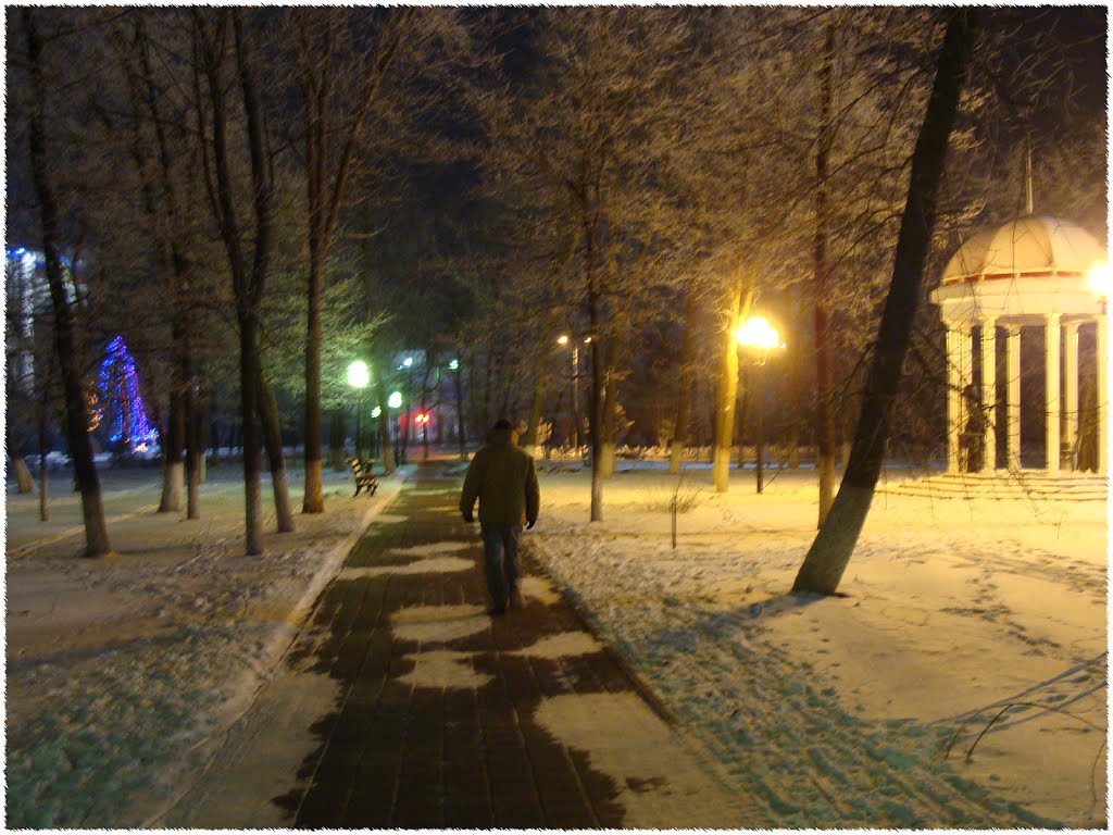 Park at night by Lana Kuznetsova