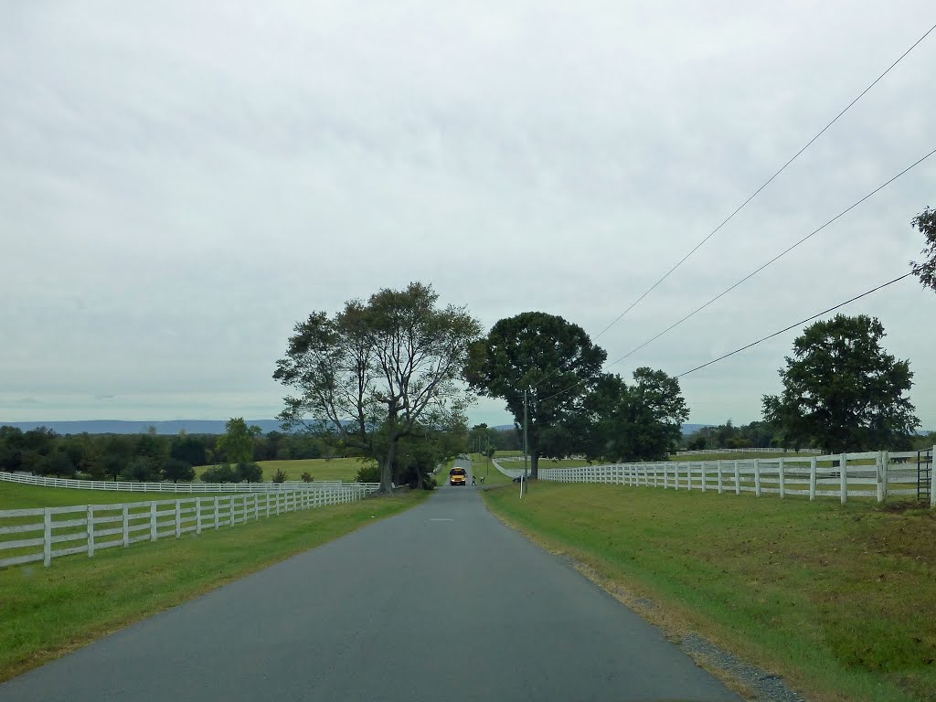 School Bus Stopped along Snickersville Turnpike by Wewah