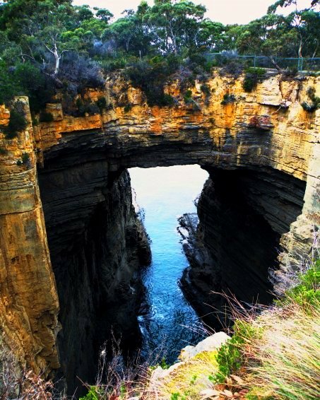 Tasman Arch by MissBrandyGreen