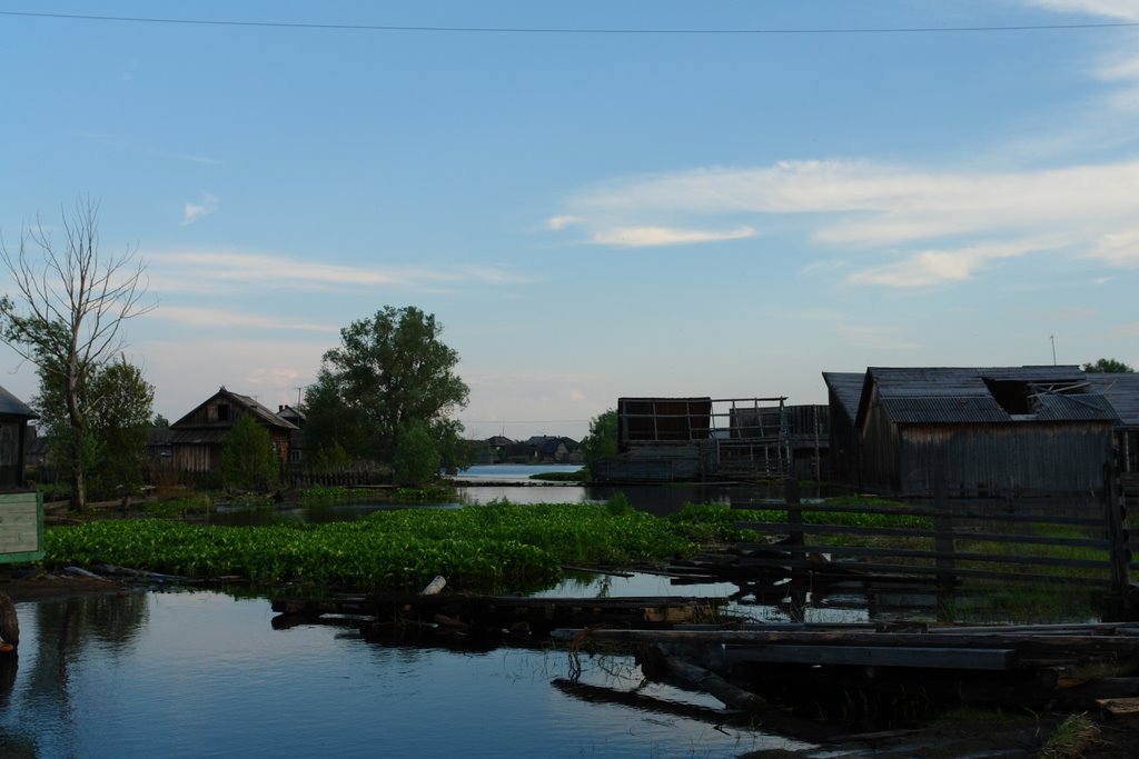 Shpalozavod, Tomskaya oblast', Russia, 636612 by Valentin Zhelezchiko…