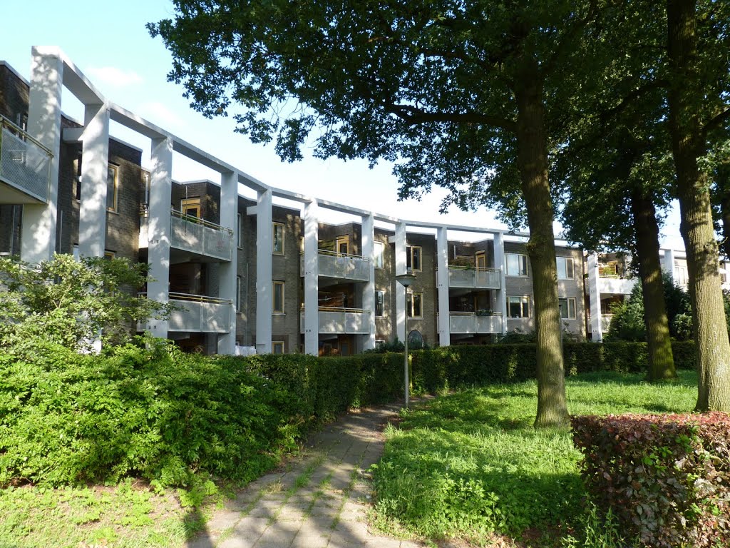 Purpervlinder, Amersfoort by Pieter Klein